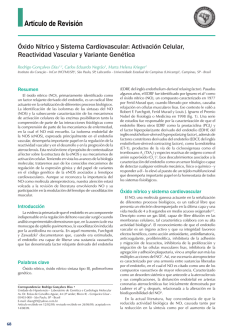 OFERTA DE CURSOS OPTATIVOS (Carrera de Ingenier&iacute;a