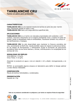 SECUNDARIA - instituto calmecac