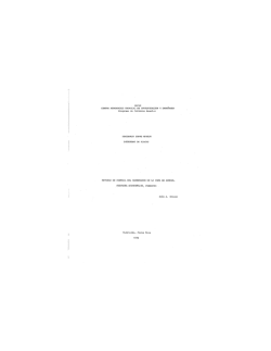 Bolet&iacute;n informativo 2