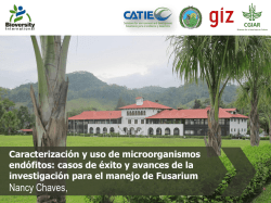 Erasmus resultados examen italiano B1