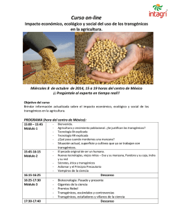 Dise&ntilde;o tarjetas personales para estudio de ense&ntilde;an Tama&ntilde;o