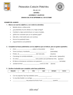 e) - Protecci&oacute;n Civil