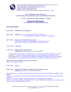 02 ICA 982 RESUMEN EJECUTIVO.pdf