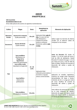 san pedro y la esperanza inician tr&aacute;mites para el avance de