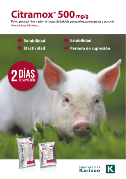 MEN&Uacute; 1 MEN&Uacute; 2 PASTA POSTRE MEN&Uacute; 1 MEN&Uacute; 2 PASTA