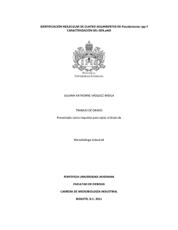 1 Cuestionario 3&ordm; ESO Tema 5 Energ&iacute;as