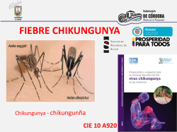 el pais vasco - PDF eBooks Free | Page 1