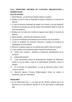 JOS&Eacute; LUIS FRUTIS SOL&Iacute;S