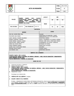 Manual plancha rowenta pro master