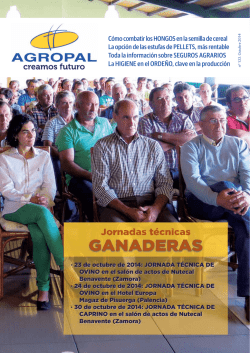 entidad: michoac&aacute;n plazas docentes con funci&oacute;n de asesor&iacute;a