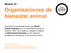 Manual de netbeans ide 7 2 1.pdf