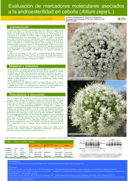 situaci&oacute;n actual de los mercados y oportunidades de inversi&oacute;n