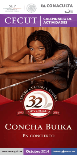 Liceo Salesiano Camilo Ort&uacute;zar Montt