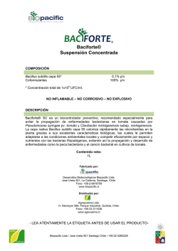 7 MB - Museo Nacional de Antropolog&iacute;a