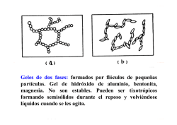 Descargo de responsabilidad