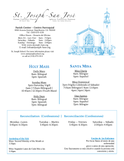 Descargar bolet&iacute;n en formato PDF