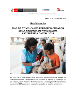 cv &ndash; mar&iacute;a dolores claver mart&iacute;n