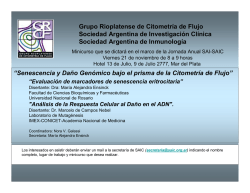 Circular Informativa 12 Bienes y Servicios