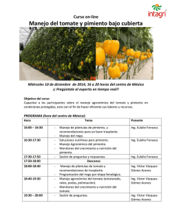 audiencia provincial de bizkaia - secci&oacute;n sexta bizkaiko probintzia