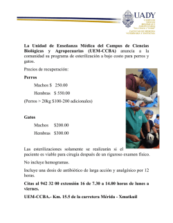 Estudian querella por lesiones de pescadores tras enfrentamientos