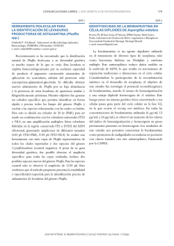 M&aacute;s informaci&oacute;n