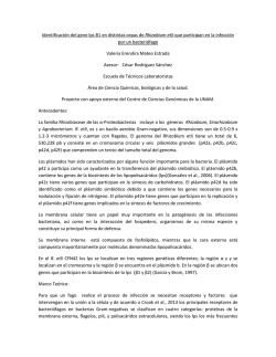 #1 Gastrointestinal Tract (Misoprostol), Misoprostol En Cali