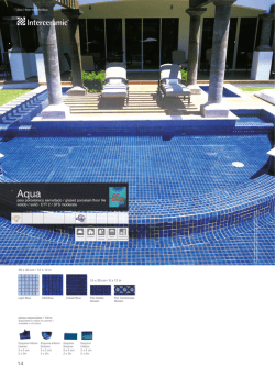 Apoyo Comercial Internacional