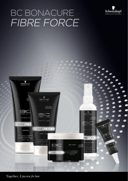 informaci&oacute;n - COCHEALDIA.com