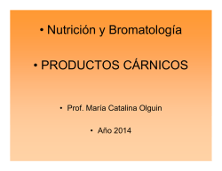 Paran obra en el Estadio Cuauht&eacute;moc; despiden a trabajadores y