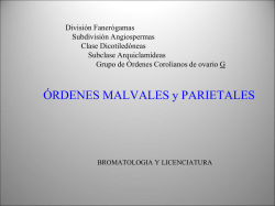 PROCEDIMIENTO PARA LOS ALUMNOS DE NUEVO INGRESO