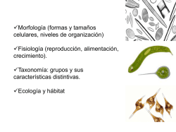 Home : Maps - Extranet de Gas Natural M&eacute;xico