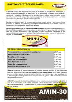 ADMINISTRACI&Oacute;N LOCAL - Ajuntament de Vila-real