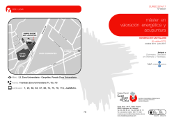 Consulta LEZ - Vega Asesores