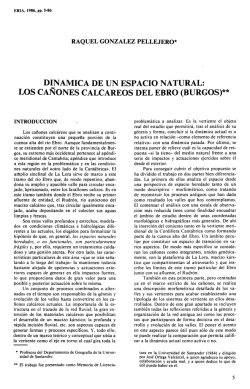 personal del grupo de acci&oacute;n local grupo de acci&oacute;n local