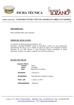 El copiloto que estrell&oacute; el avi&oacute;n ocult&oacute; a la compa&ntilde;&iacute;a