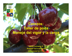 Montelukast How Long Does It Take To Work (Singulair:Montelukast