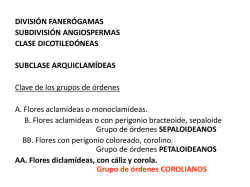 Opisthokonta: Chytridiomycota-Mucoromycotina
