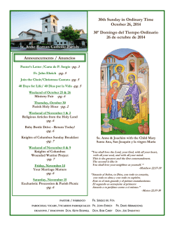 comisi&oacute;n especial de seguridad del consejo