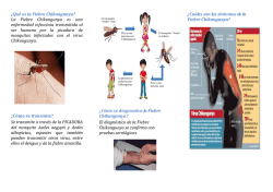 Negotiation skills roleplay pdf