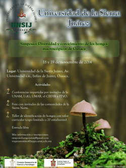 Autoridades Universitarias