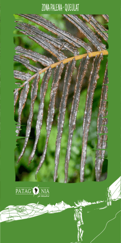 Sesiones grupales para familias Abril-Noviembre 2015