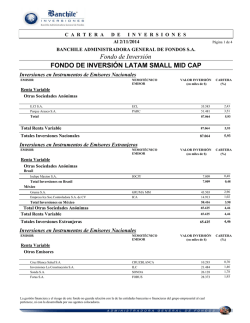 Fondo de Inversi&oacute;n FONDO DE INVERSI&Oacute;N LATAM SMALL MID CAP