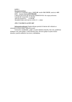 descripci&oacute;n del lote en formato PDF