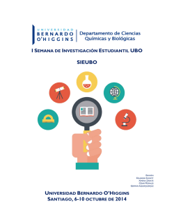 libro de resumenes - cirenys