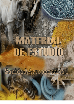 T - Acceso Telef&oacute;nico