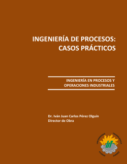 Ingenier&iacute;a de Procesos Casos Pr&aacute;cticos 2014 - Universidad