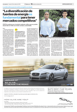 &ldquo;La diversificaci&oacute;n de fuentes de energ&iacute;a es fundamentalpara tener