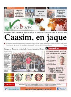 Descargar PDF - El Visto Bueno