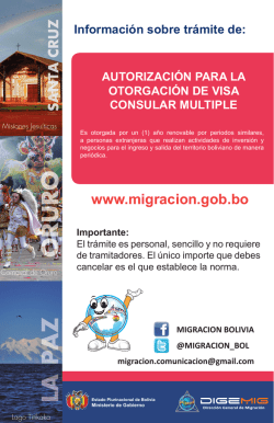 Autorizaci&oacute;n para la otorgaci&oacute;n de Visa Consular de Objeto