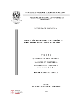 T  E  S  I  S - UNAM